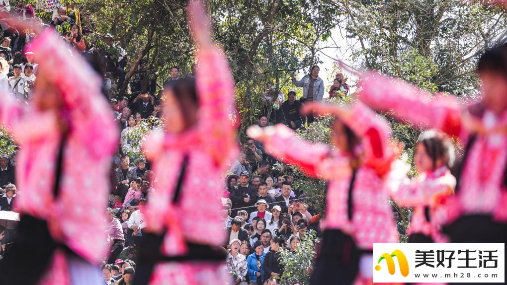 贵州六枝：苗族群众欢庆跳花节(图13)