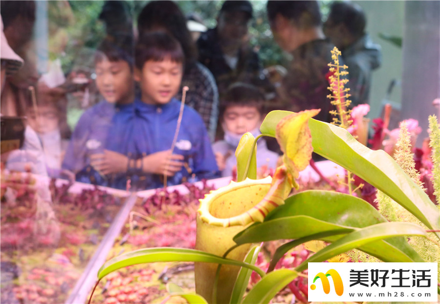 有一种叫云南的生活(图3)