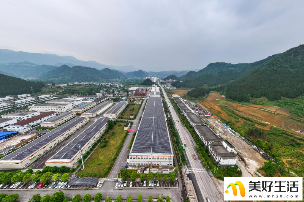 大山深处的“世界抹茶超级工厂”(图3)