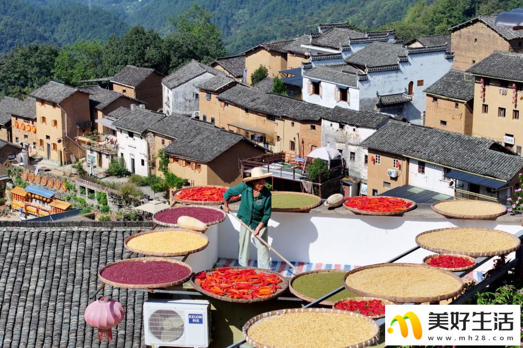 安徽歙县：土楼晒秋(图4)