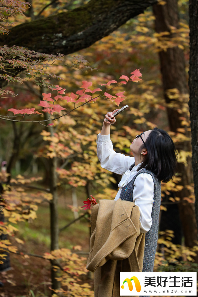 火红枫叶勾勒诗意公园(图3) 火红枫叶勾勒诗意公园(图3)