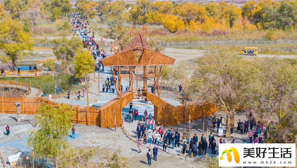 沙漠胡杨入画来(图6) 沙漠胡杨入画来(图6)