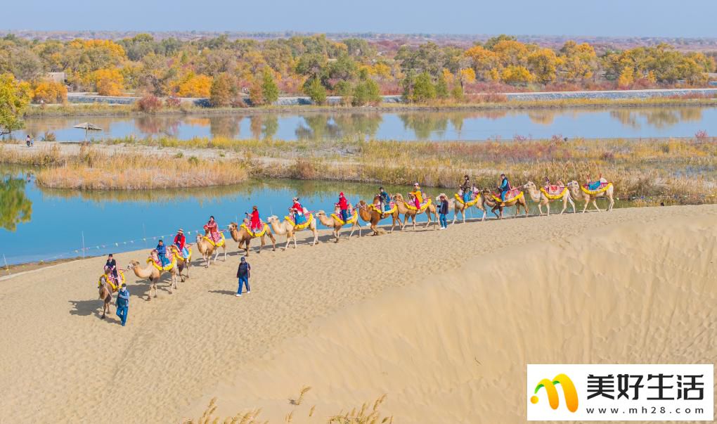 沙漠胡杨入画来(图3) 沙漠胡杨入画来(图3)