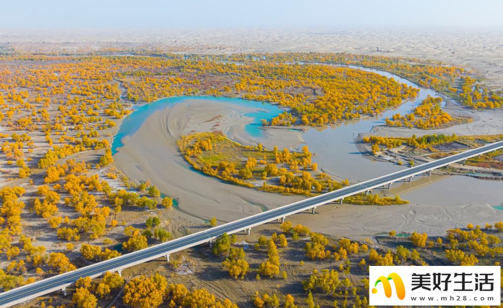 沙漠胡杨入画来(图5) 沙漠胡杨入画来(图5)