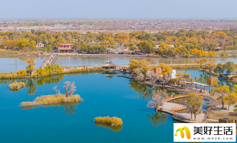 沙漠胡杨入画来(图7) 沙漠胡杨入画来(图7)