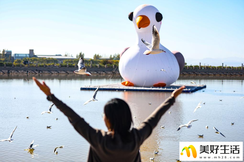 秋日乌海 人鸥同乐(图7)