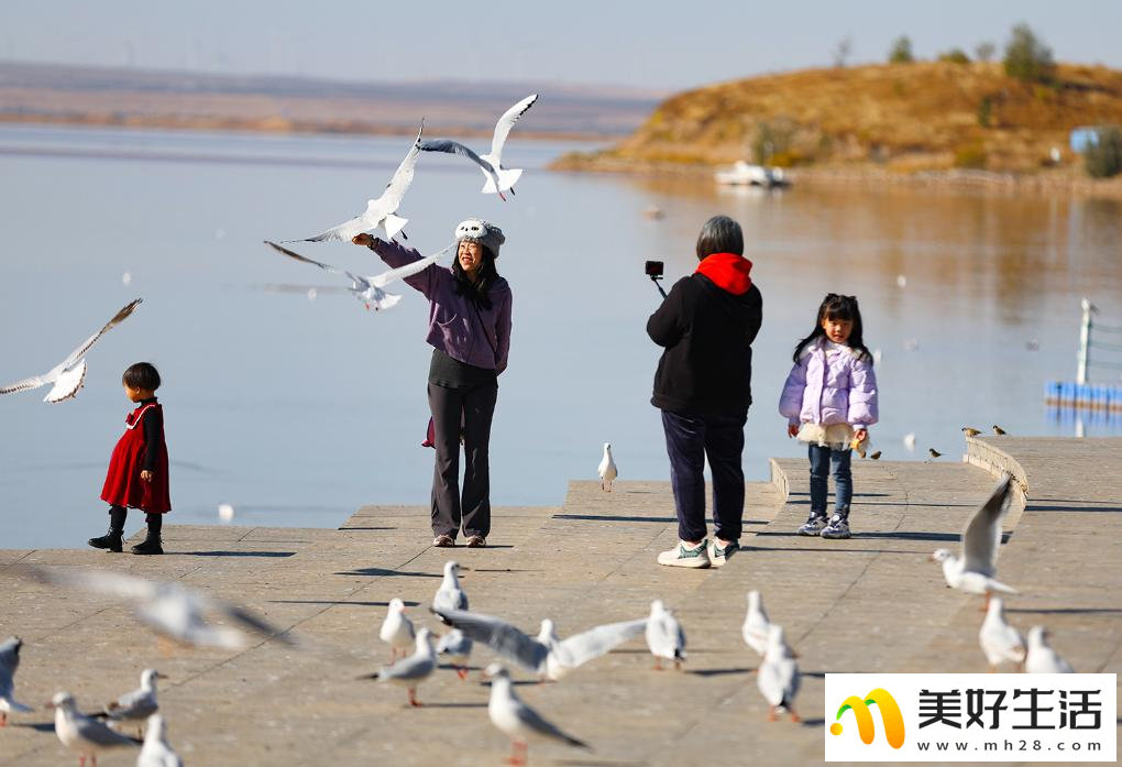 秋日乌海 人鸥同乐(图8)