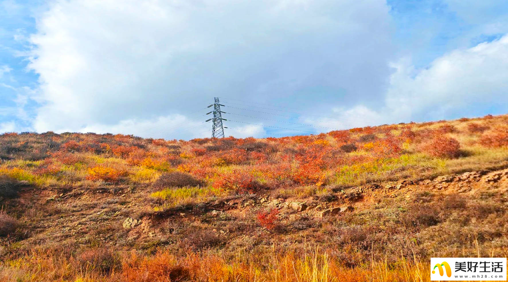 霜染草原 秋意漫天涯(图3) 霜染草原 秋意漫天涯(图3)