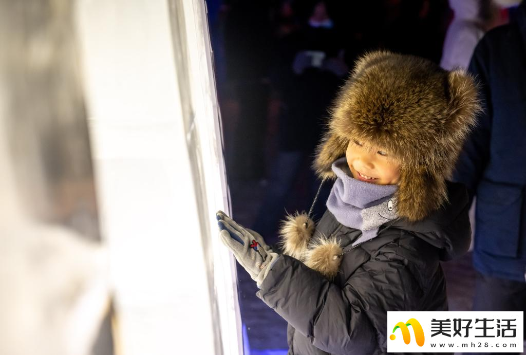 第二十二届中国·满洲里中俄蒙国际冰雪节开幕(图8)