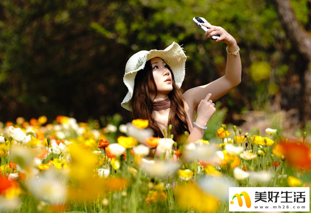 春城繁花引客来(图2) 春城繁花引客来(图2)