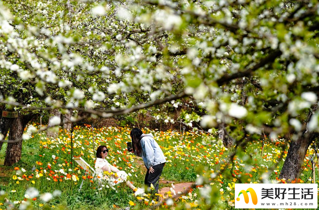 春城繁花引客来(图4) 春城繁花引客来(图4)