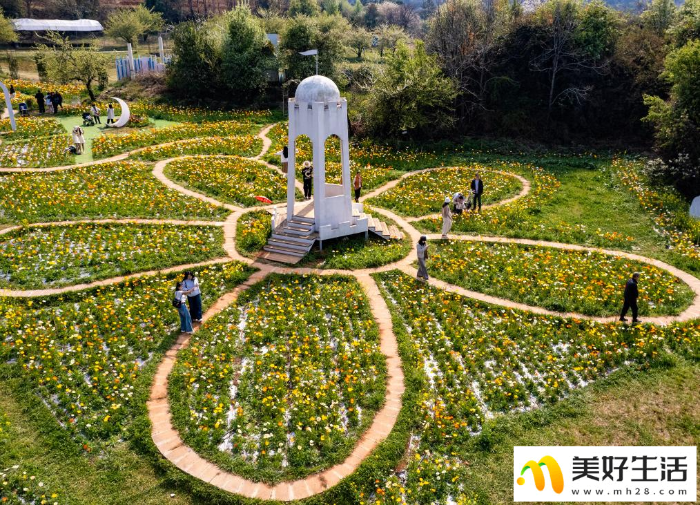 春城繁花引客来(图5) 春城繁花引客来(图5)