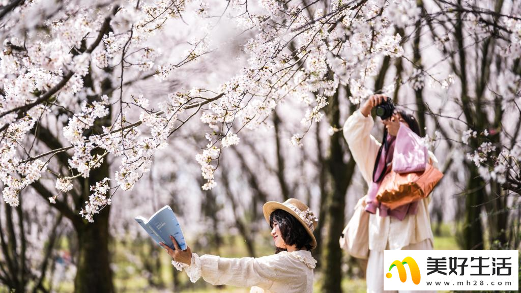 贵州:樱花似海 春满大地(图9) 贵州:樱花似海 春满大地(图9)