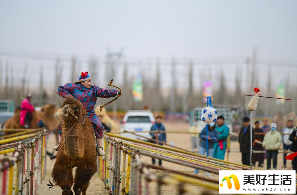 阿拉善骆驼超级联赛总决赛收官(图5) 阿拉善骆驼超级联赛总决赛收官(图5)
