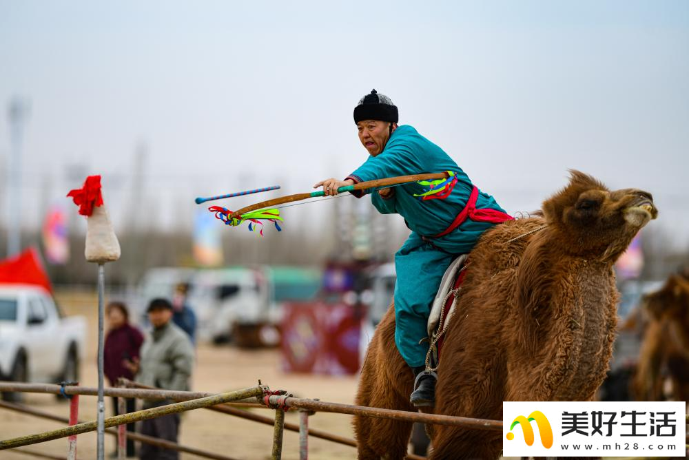 阿拉善骆驼超级联赛总决赛收官(图7) 阿拉善骆驼超级联赛总决赛收官(图7)