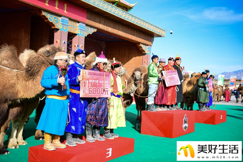 阿拉善骆驼超级联赛总决赛收官(图8) 阿拉善骆驼超级联赛总决赛收官(图8)