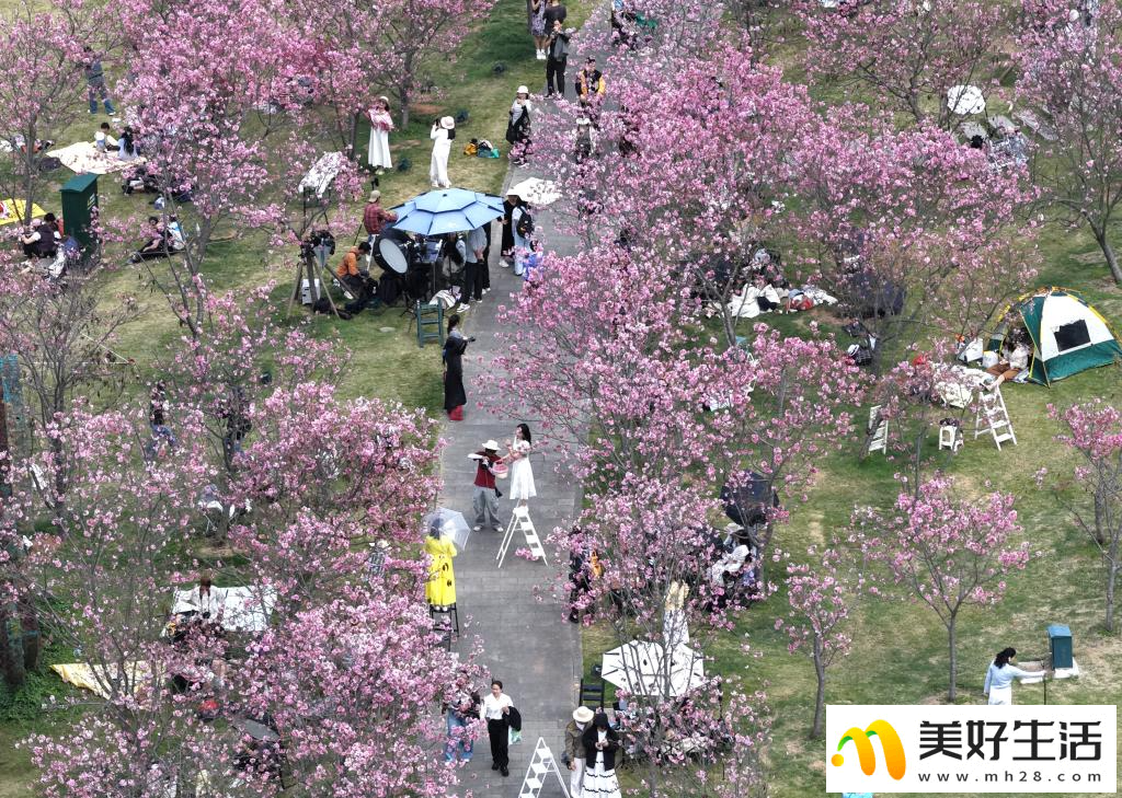 春光明媚赏花时(图1)