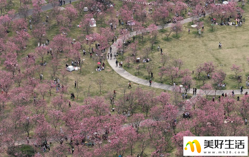 春光明媚赏花时(图2)