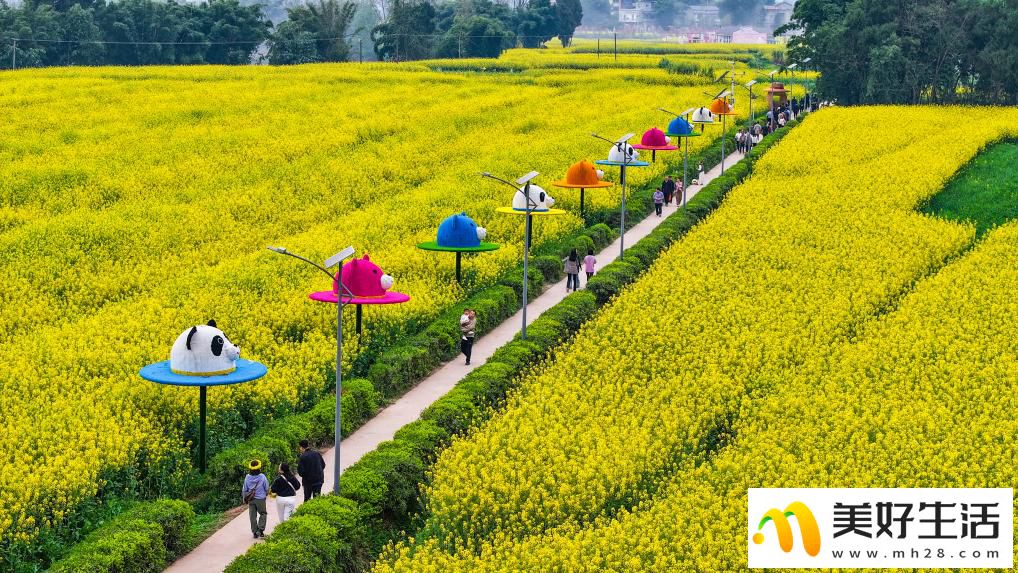 重庆潼南:油菜花开迎客来(图1) 重庆潼南:油菜花开迎客来(图1)