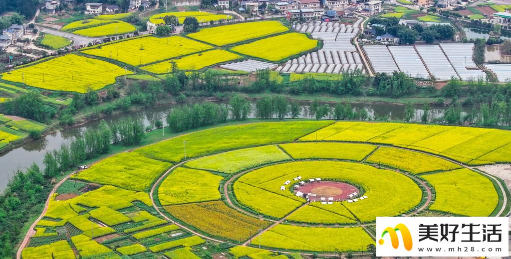 重庆潼南:油菜花开迎客来(图2) 重庆潼南:油菜花开迎客来(图2)