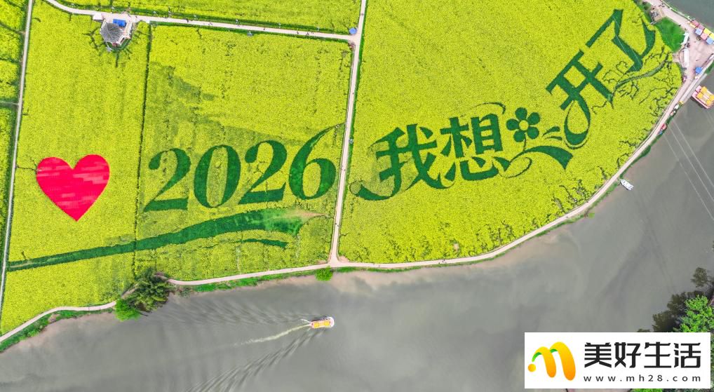 重庆潼南:油菜花开迎客来(图3) 重庆潼南:油菜花开迎客来(图3)