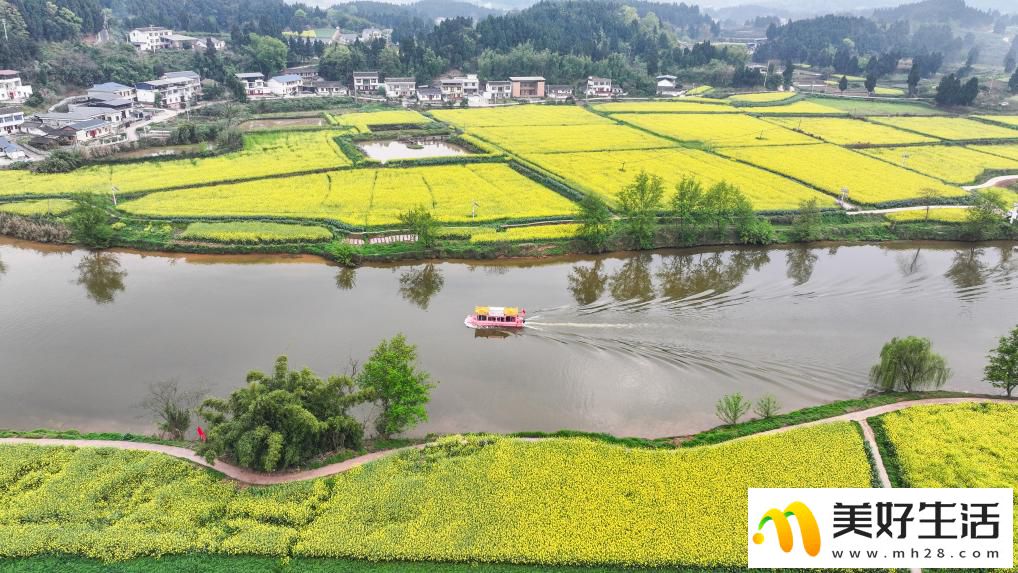 重庆潼南:油菜花开迎客来(图5) 重庆潼南:油菜花开迎客来(图5)