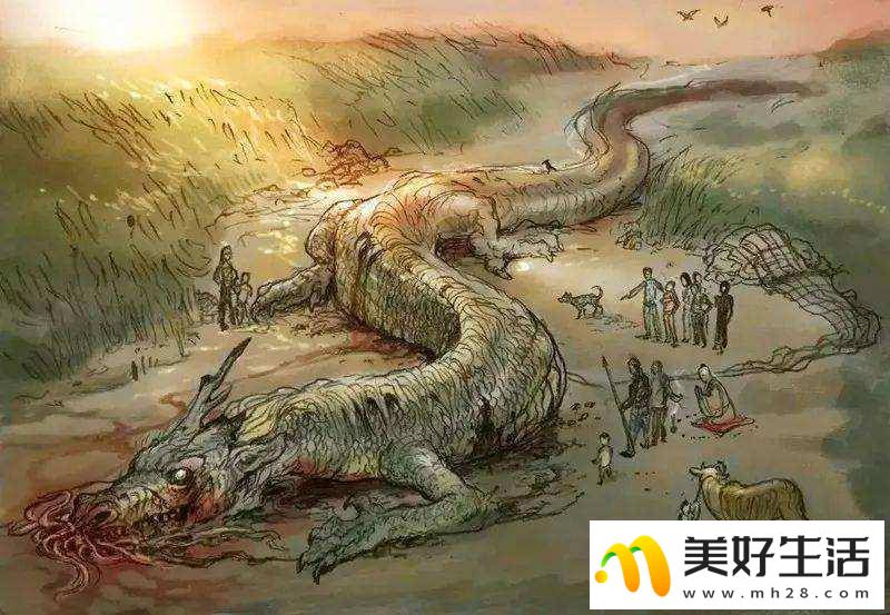 为什么十二生肖里会有龙，难道古时真的有龙吗？ (图5)