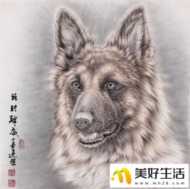 十二生肖国画作品欣赏，十二种动物齐聚一堂！ (图11)